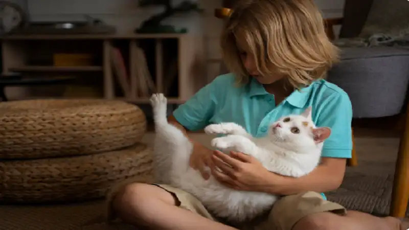 Infoguide for Kittens llblogpet: Complete Care Guide