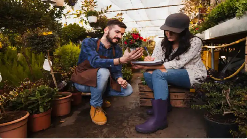 garden advice homenumental